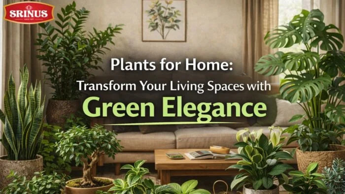 Plants for Home: Transform Your Living Spaces with Green Elegance by Srinus