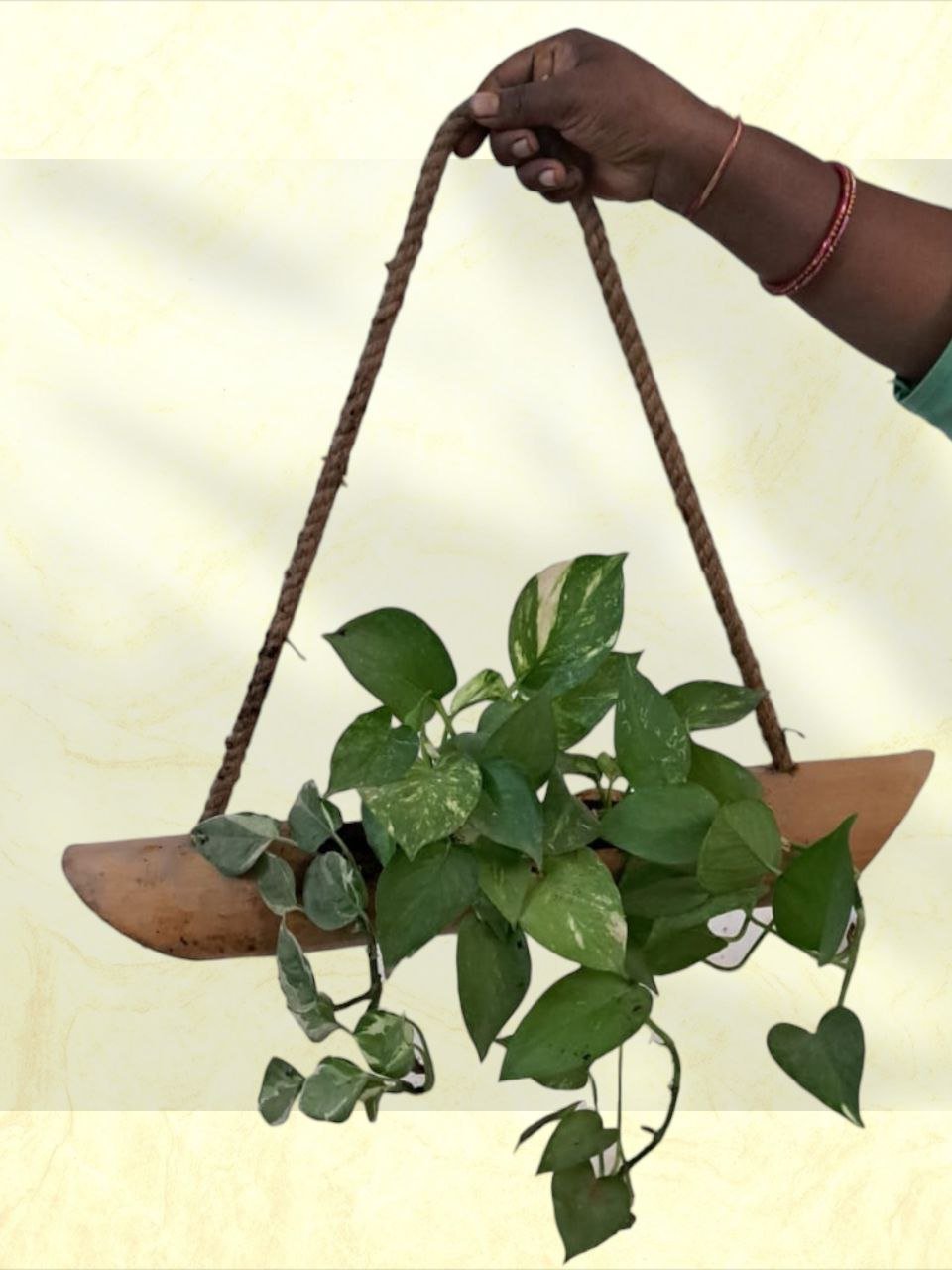 Bamboo Planter: Single Plant Hanging