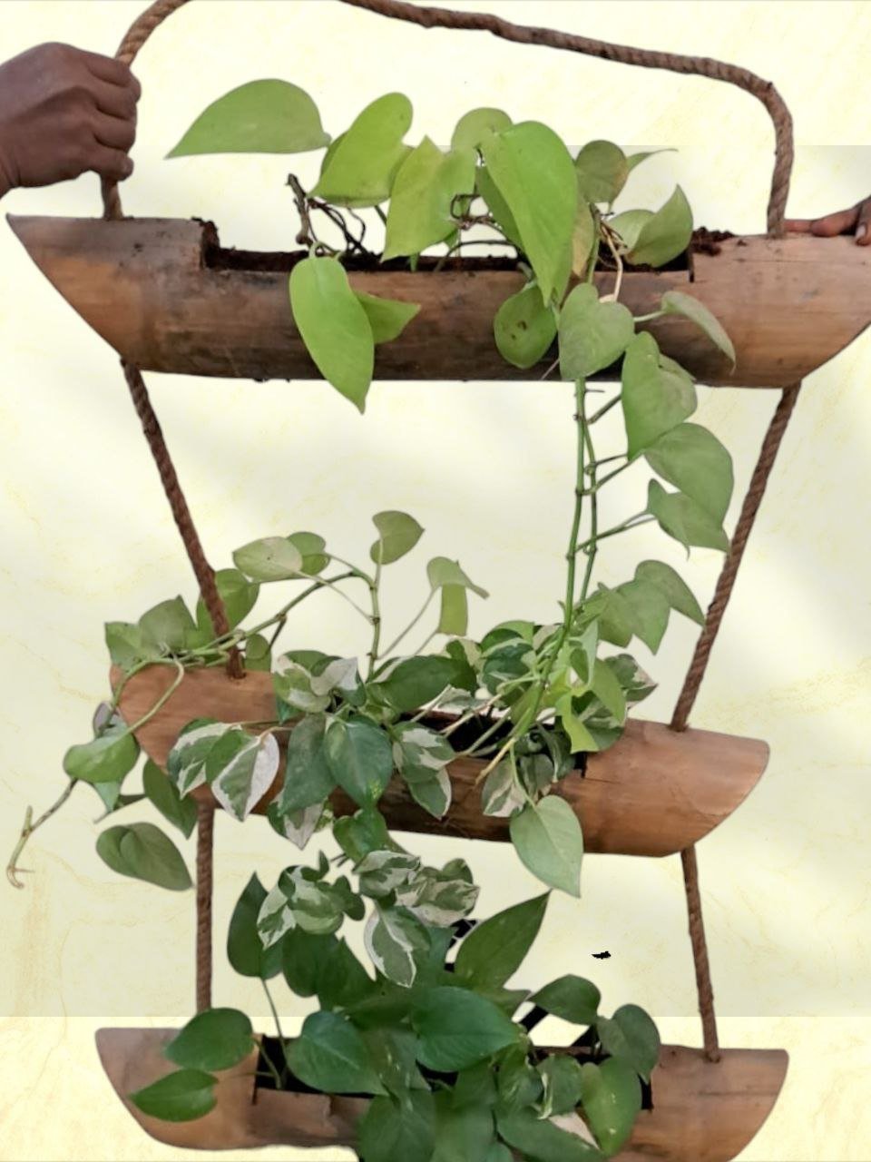 Bamboo Planter: Three Layer Hanging