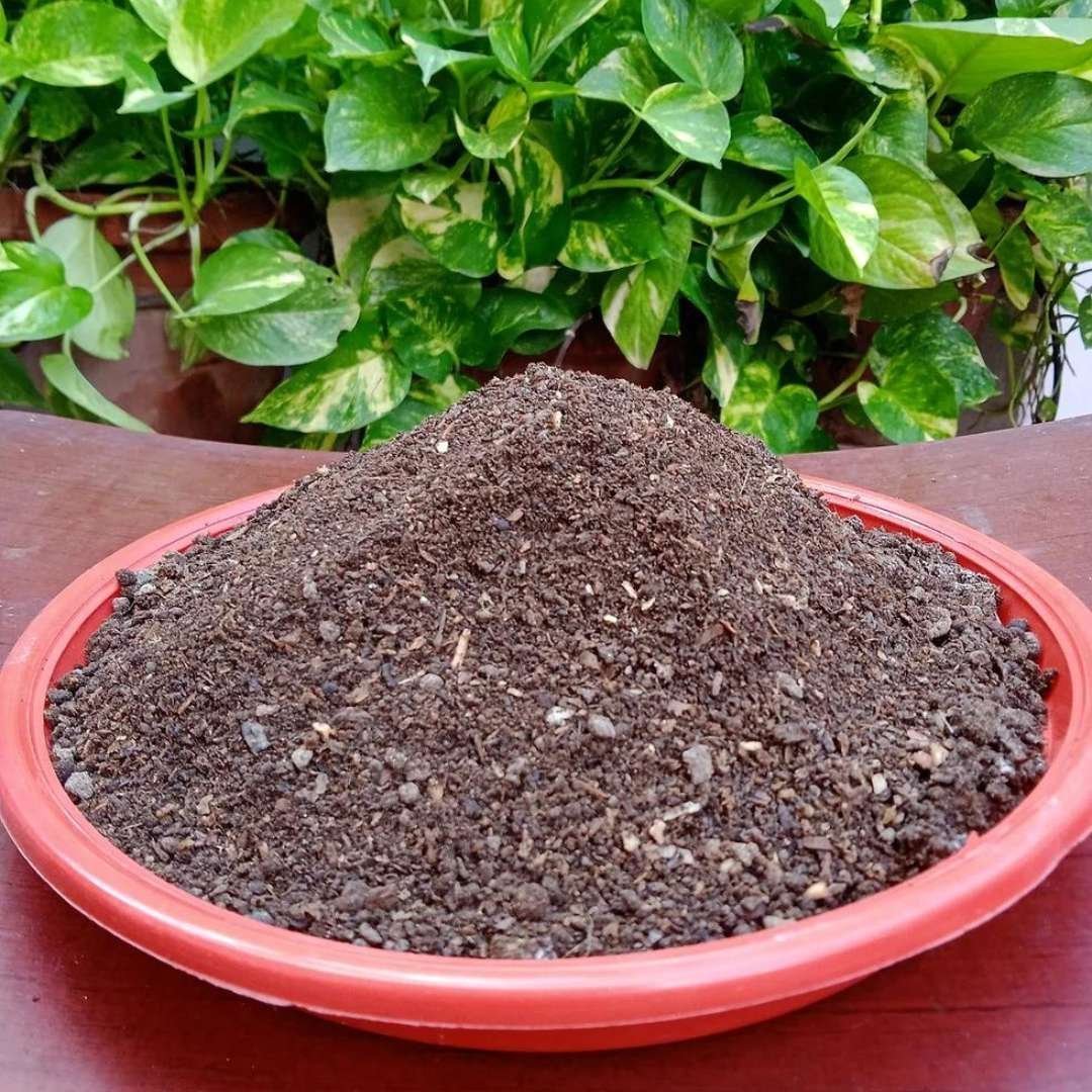 Rose Mixture Manure
