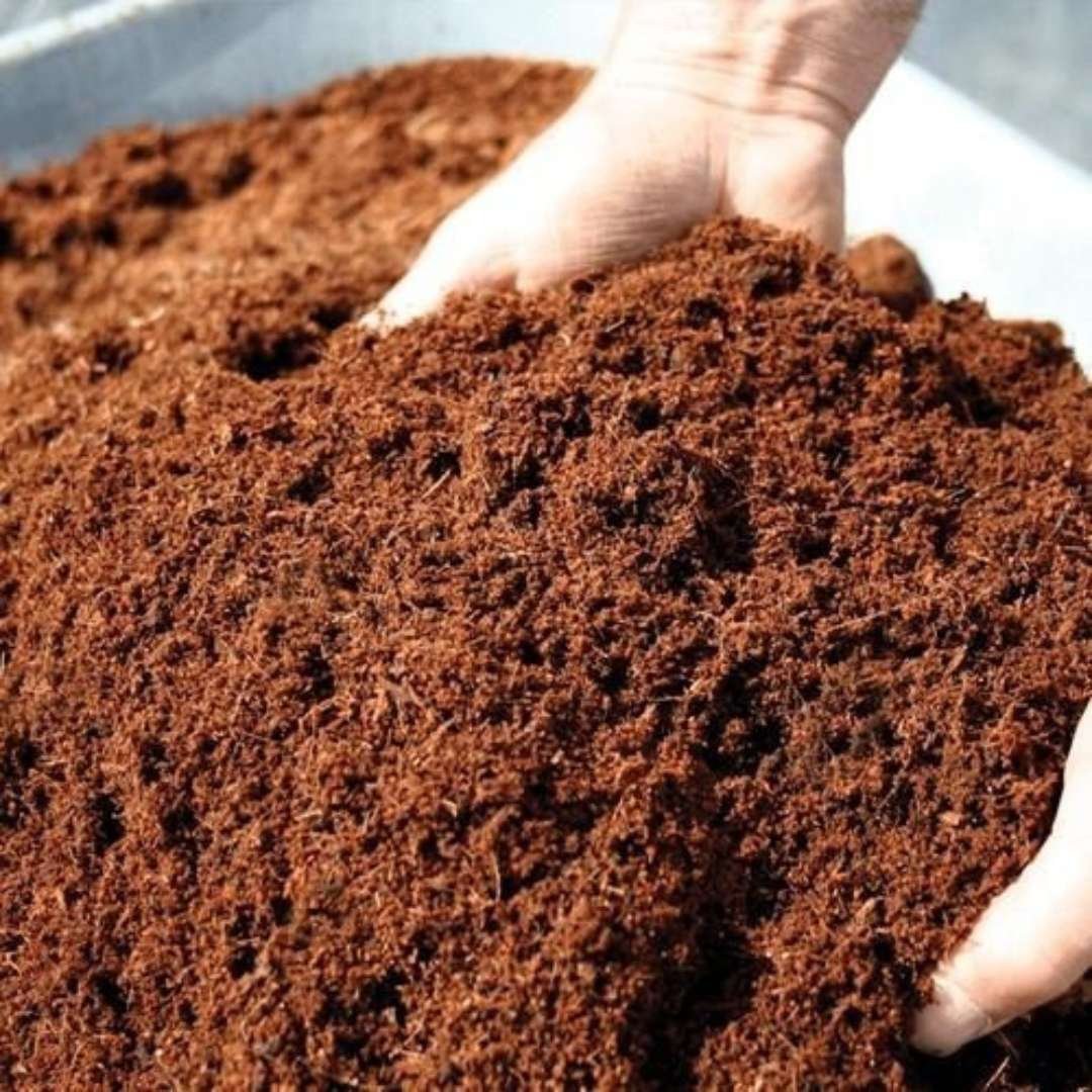 Decomposed Cocopeat