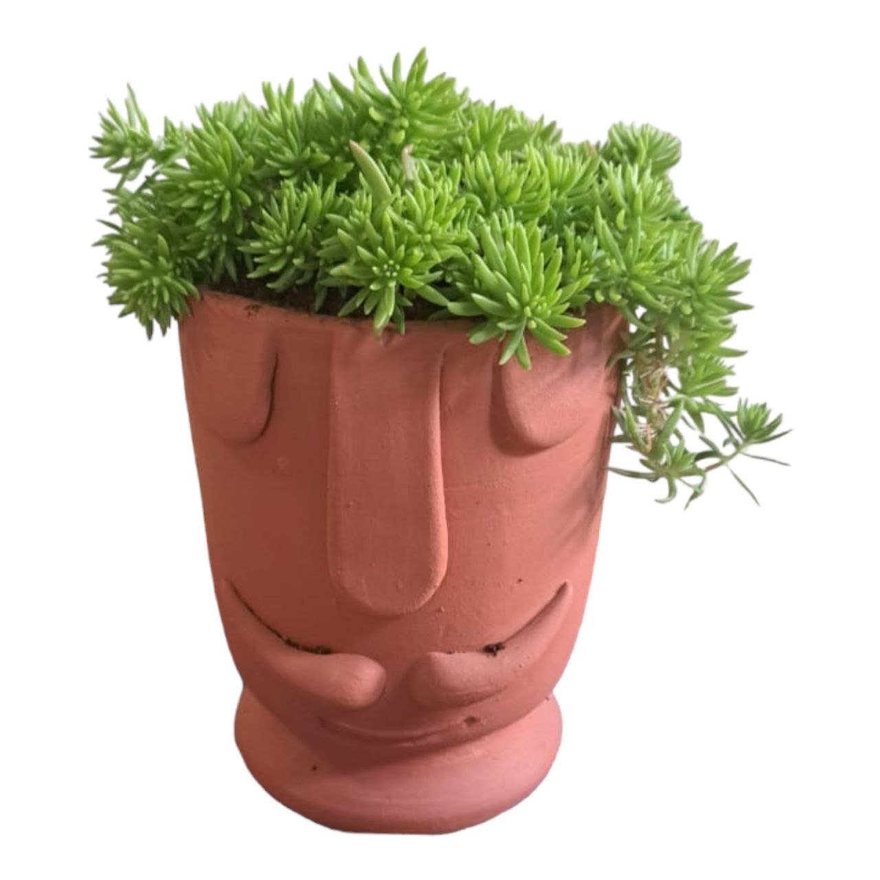 Plant With Artistic Pot