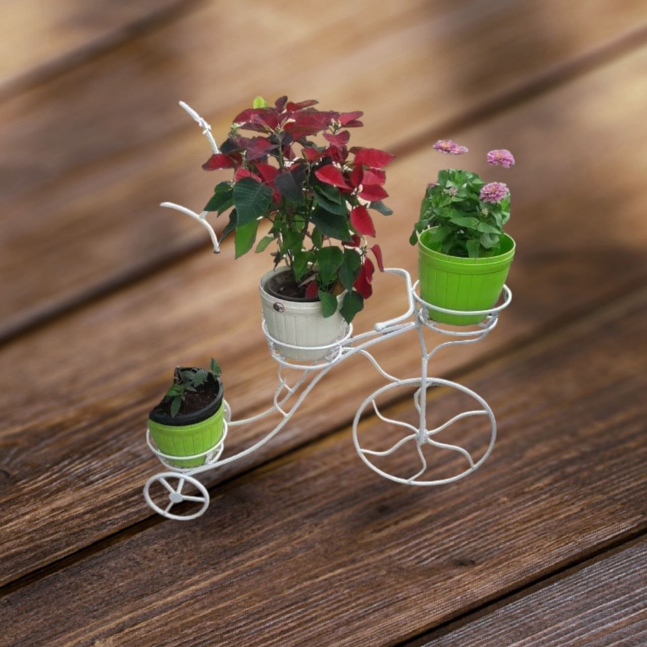 Plants Stand
