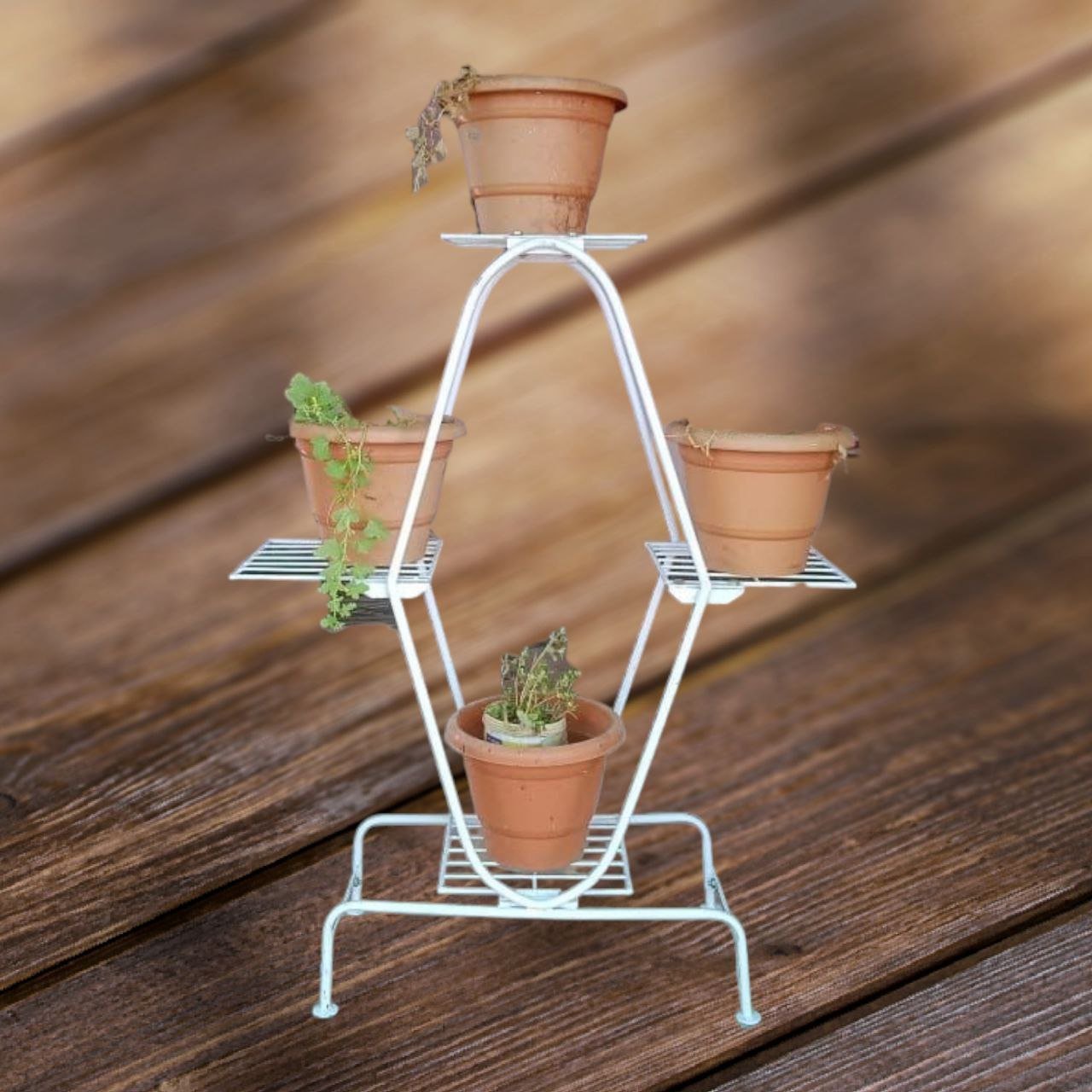 Plants Stand