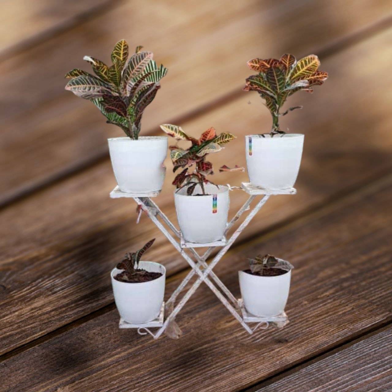 Plants Stand
