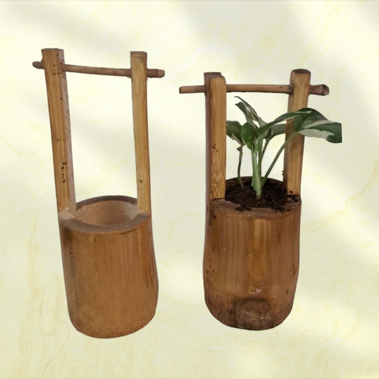Bamboo Planter: Single Well Hanging