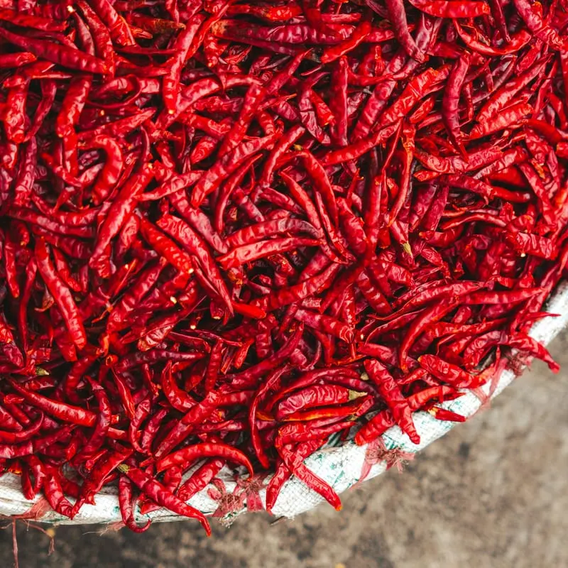 Chillies, sun-dried