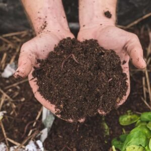 Vermi Compost From Farmers