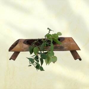 Bamboo Planter: Single Plant Table Top