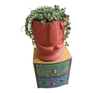 Plant With Artistic Pot