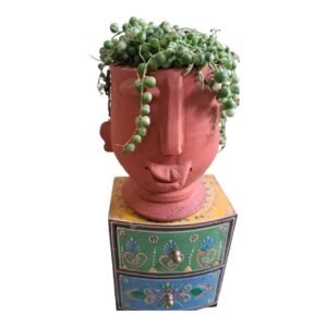 Plant With Artistic Pot